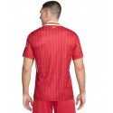 nike - 2024-25 liverpool home shirt chiesa 14
