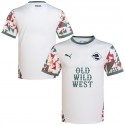 puma - 2024-25 palermo third  shirt
