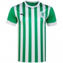 puma - 2022-23 Olimpija Ljubljana Home Shirt