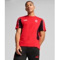 puma - 2024-25 T-shirt AC Milan