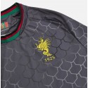 macron  - ternana home shirt (L)