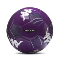 2025-26 fiorentina mini ball