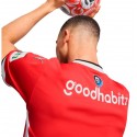 puma - 2024-25 psv ehindoven home shirt (L)
