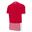macron - 2025-26 aalborg home shirt