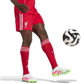 adidas - 2025-26 liverpool home shorts