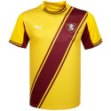 puma - 2025-26 salernitana away shirt