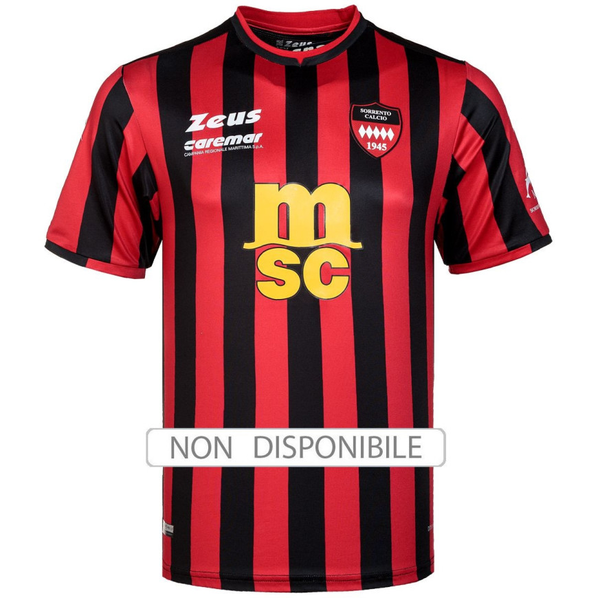 zeus - 2024-25 sorrento home shirt (L)