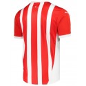 puma - 2024-25 sporting gijon home shirt