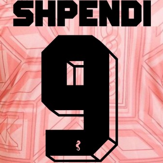 errea - 2024-25 cesena home/third nameset shpendi 9