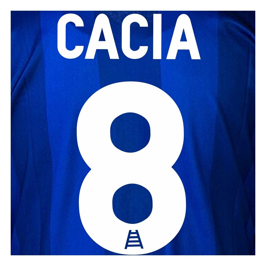 2012-13 hellas verona nameset cacia 8