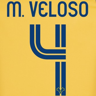 2018-19 hellas verona nameset