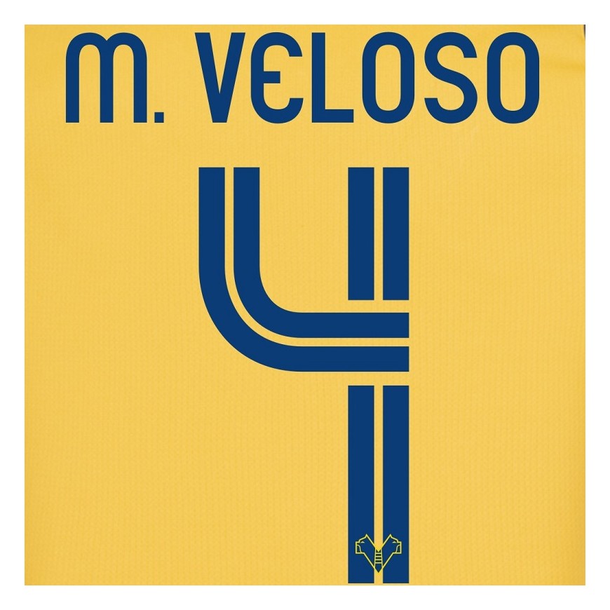 2018-19 hellas verona nameset