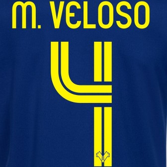 2018-19 hellas verona nameset