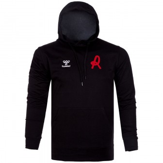 hummel - 2025-26 vicenza freetime hoody