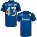 givova - 2013 chievo christmas edition shirt paloschi 43