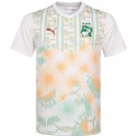 puma - 2026-27 ivory coast away shirt