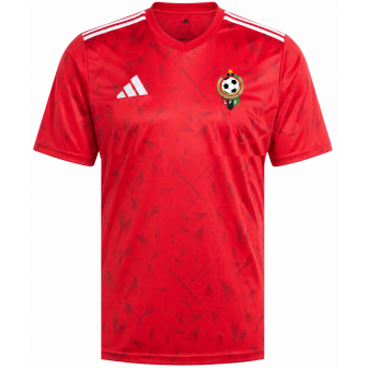 adidas - 2025-26 libya home shirt