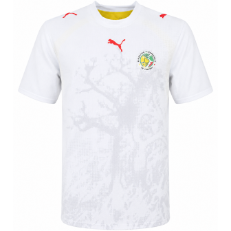 puma - 2006 ivory coast home shirt