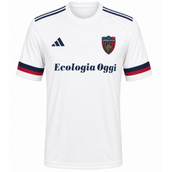 nike - 2025-26 cosenza away shirt