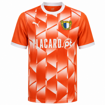 puma - 2024-25 familicao third shirt