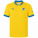 puma - 2012-13 apoel nicosia home shirt