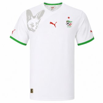puma - 2010-11 algeria home shirt