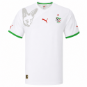 pum - 2010-11 algeria home shirt
