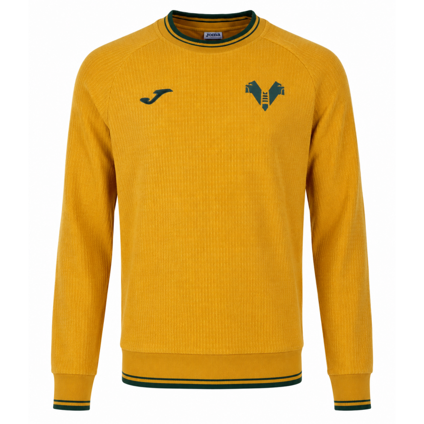 joma - 2024-25 hellas verona polo shirt