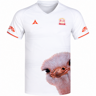 2023-23 ORAPA UNITED (BOTSWANA) AWAY SHIRT (L)