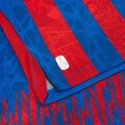 macron - 2026-27 viktoria plzen home shirt