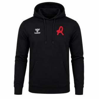 hummel - 2025-26 vicenza hoodie sweat top
