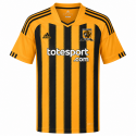 adidas - 2010-11 hull city home shirt