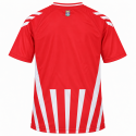 hummel - 2026-27 Vicenza third shirt
